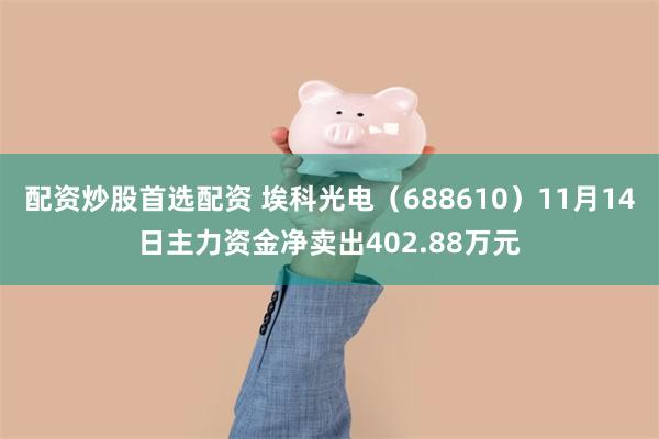 配资炒股首选配资 埃科光电（688610）11月14日主力资金净卖出402.88万元