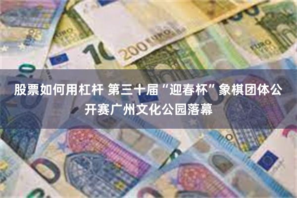 股票如何用杠杆 第三十届“迎春杯”象棋团体公开赛广州文化公园落幕