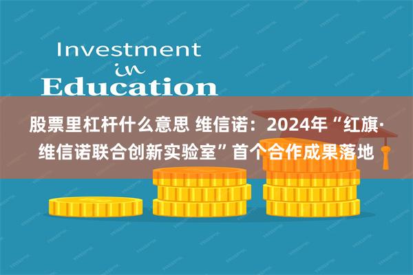 股票里杠杆什么意思 维信诺：2024年“红旗·维信诺联合创新实验室”首个合作成果落地
